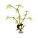 Bulbamoon the Trumpeter