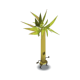 Bambú embrujado