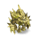 Eroded Kirball