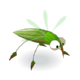 Minoskito