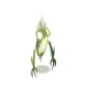 Spirigneous