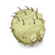 Geriatick