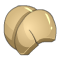 Carapace de Ver des Sables