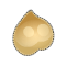 Testicules du Tanukouï San