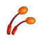 Antenne du Scarafeuille Rouge