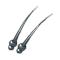 Antennes du Cafard Fadet