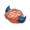 Cave Gobball Brain
