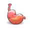 Tofurby Stomach