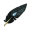 Wastrel Feather