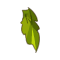 Vegacapa