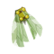 Scaracape Verte