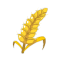 Wheat