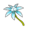 Snow Star
