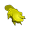 Wild Sunflower Leaf