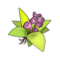 Sage