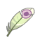Pluma de kwak de viento