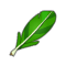 Green Piwi Feather