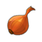 Onion