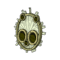 Pandawa Shield